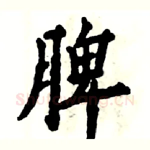 脾