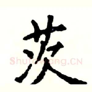 茨