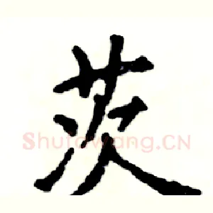 茨