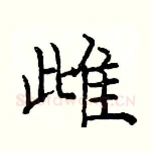 雌