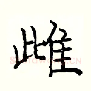 雌