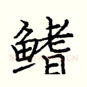 鳍