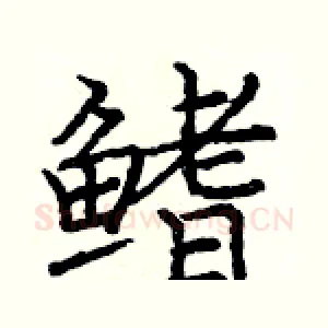 鳍