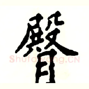 臀