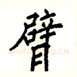 臂