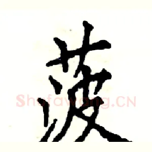 菠