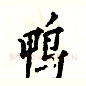 鸭