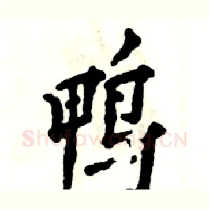 鸭