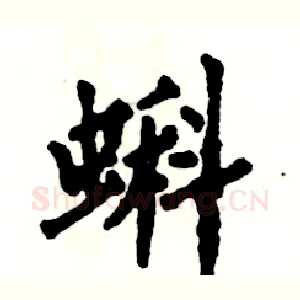 蝌