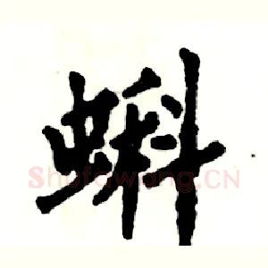 蝌