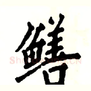 鳝