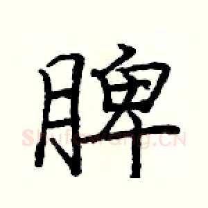脾