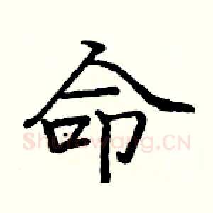 命