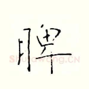 脾