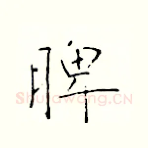 脾