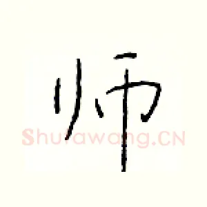 师