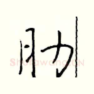 肋