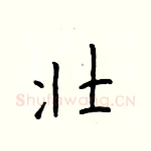 壮