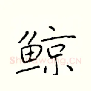 鲸