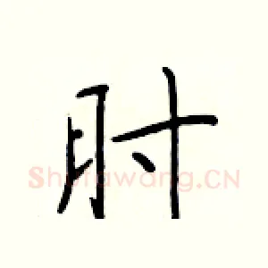 肘