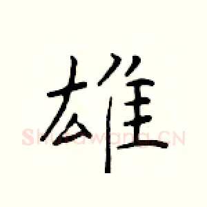 雄