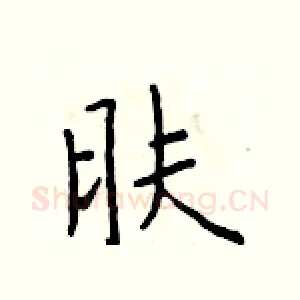 肤