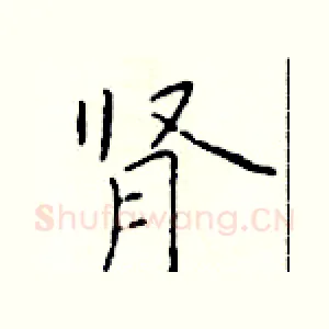 肾