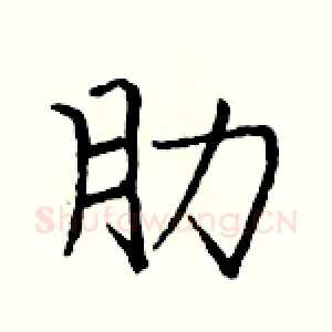 肋