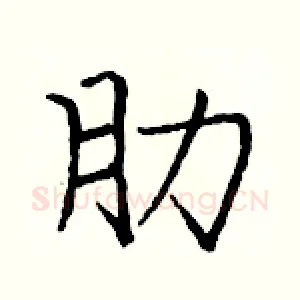 肋