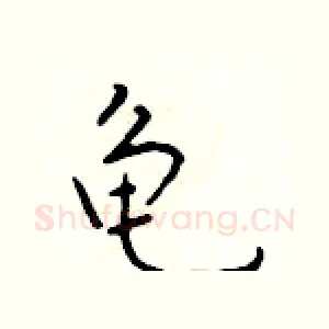龟