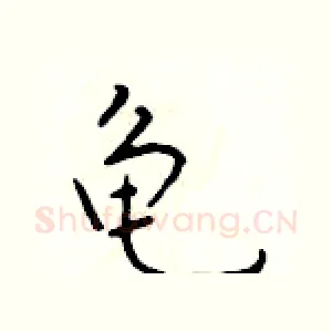 龟
