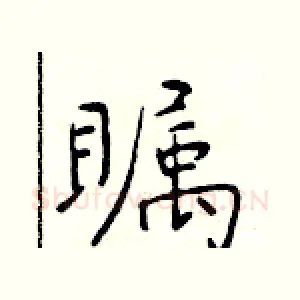 瞩