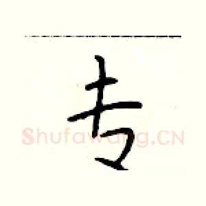 专