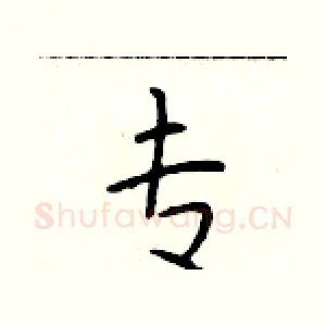 专