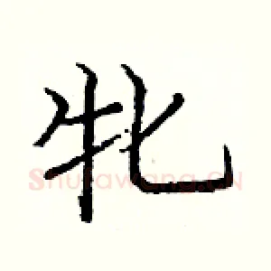 牝