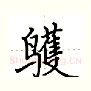 鹱