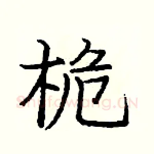 桅