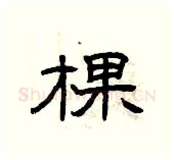 棵硬笔隶书写法,摘自曾庆福硬笔书法字帖