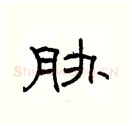 胁硬笔隶书写法,摘自骆恒光硬笔书法字帖