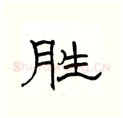胜硬笔隶书写法,摘自骆恒光硬笔书法字帖