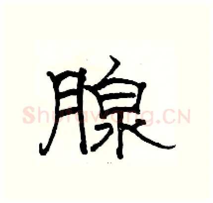 腺硬笔隶书写法,摘自骆恒光硬笔书法字帖
