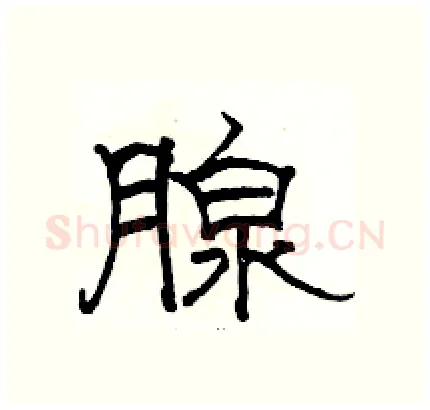 腺硬笔隶书写法,摘自骆恒光硬笔书法字帖