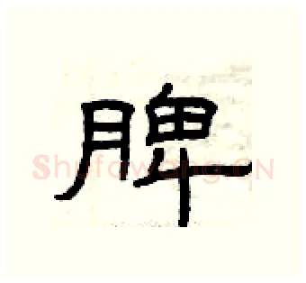 脾硬笔隶书写法,摘自曾庆福硬笔书法字帖