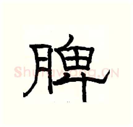 脾硬笔隶书写法,摘自骆恒光硬笔书法字帖
