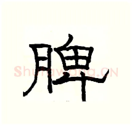 脾硬笔隶书写法,摘自骆恒光硬笔书法字帖
