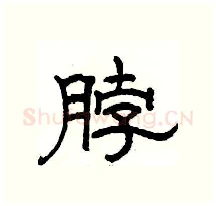 脖硬笔隶书写法,摘自骆恒光硬笔书法字帖