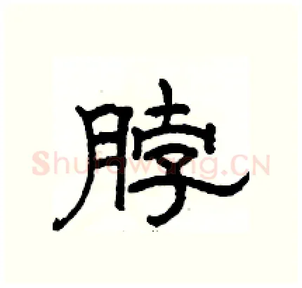 脖硬笔隶书写法,摘自骆恒光硬笔书法字帖