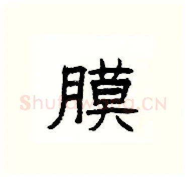 膜硬笔隶书写法,摘自杨为国硬笔书法字帖