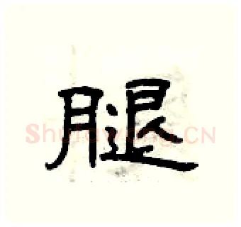 腿硬笔隶书写法,摘自曾庆福硬笔书法字帖