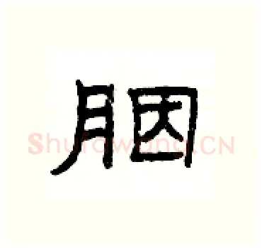 胭硬笔隶书写法,摘自杨为国硬笔书法字帖